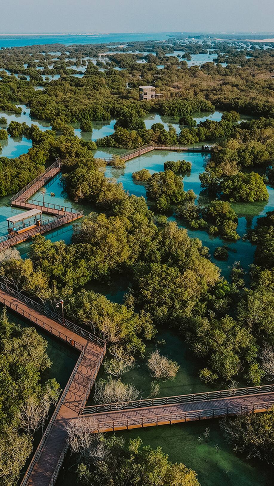 Enjoy the outdoors 