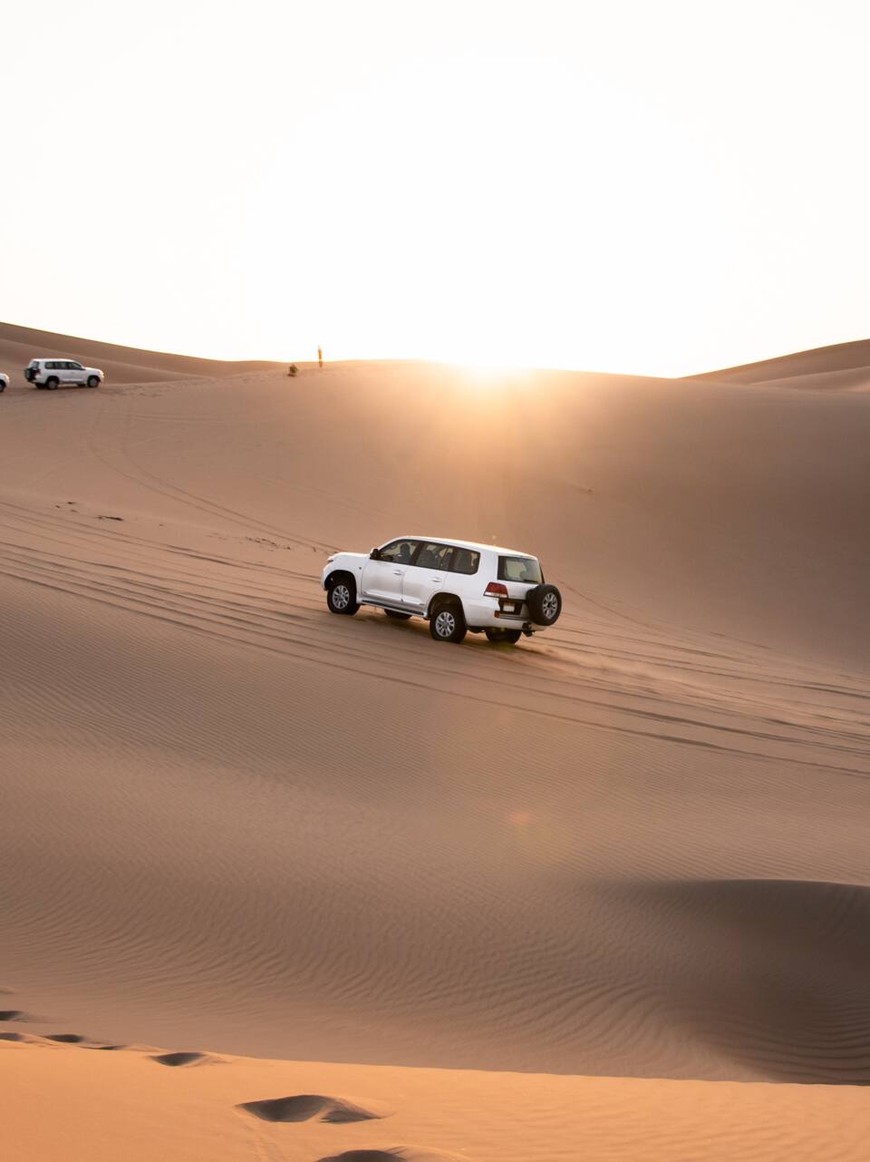 Desert safari 