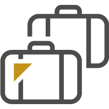 extra baggage icon