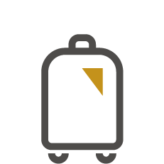 car icon