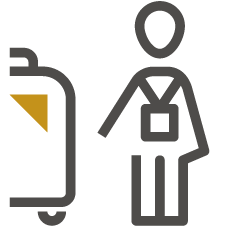 visa icon